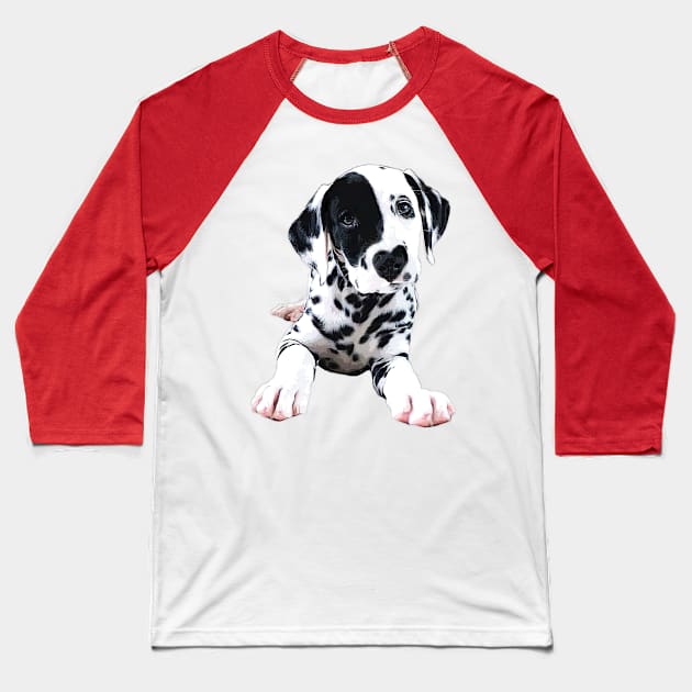 Dalmatian Puppy Dog Baseball T-Shirt by Elarex